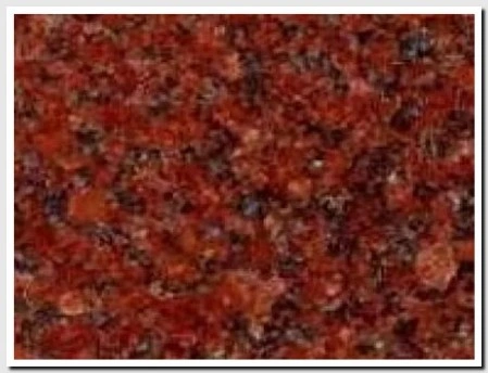 Rosa Hody Dark Rosa Houdy Dark Granite